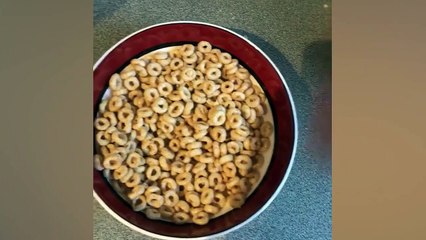 Ozzy Man Reviews Satisfaction