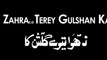 Ali Shanawar & Ali Jee | Zahra Terey Gulshan Ka | 2017 / 1439