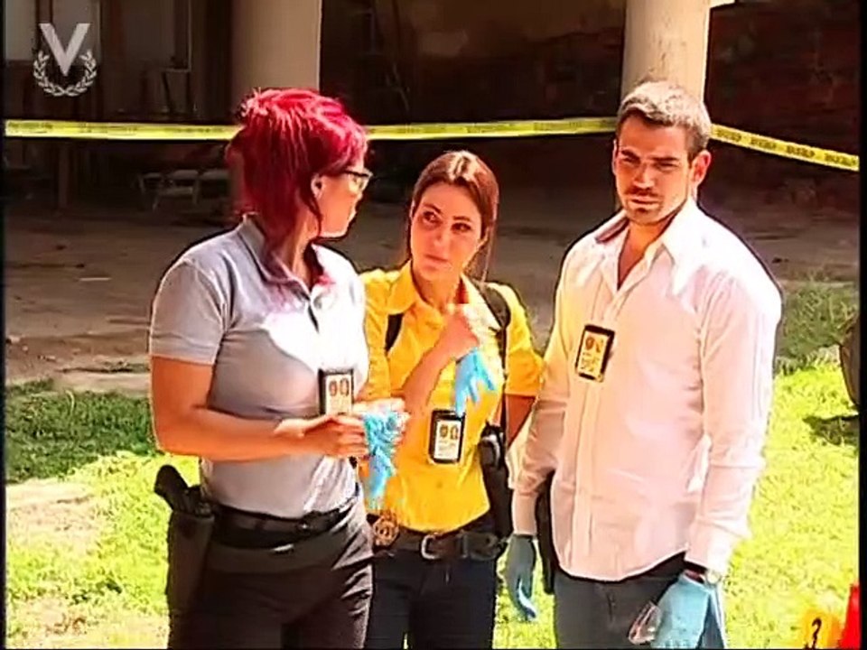 La Viuda Joven - Capítulo 15