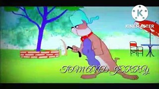 Tom and jerry ||  tom and jerry cartoon || tom and jerry episode