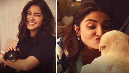 Anushka Sharma Dogs के साथ Cute Video Viral, Fans ने कहा Pet Lover । Boldsky *Entertainment