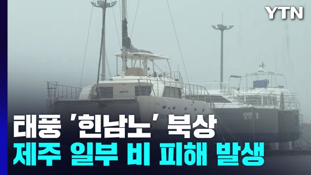 [날씨] 제11호 태풍 '힌남노' 북상에 제주 일부 비 피해 발생 / YTN