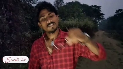 Pushpa song srivalli most funny video song