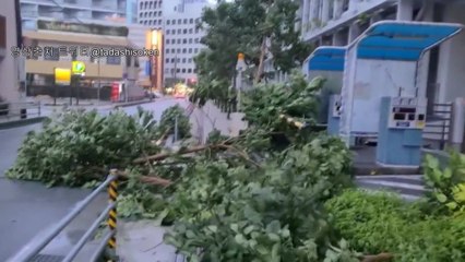 오키나와 본토에 태풍 접근...피난·결항 등 이어져 / YTN