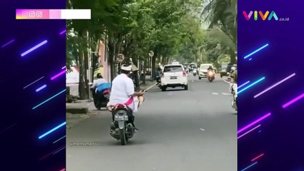 Video Pengemudi Motor Asyik Main Hp Berujung Nahas