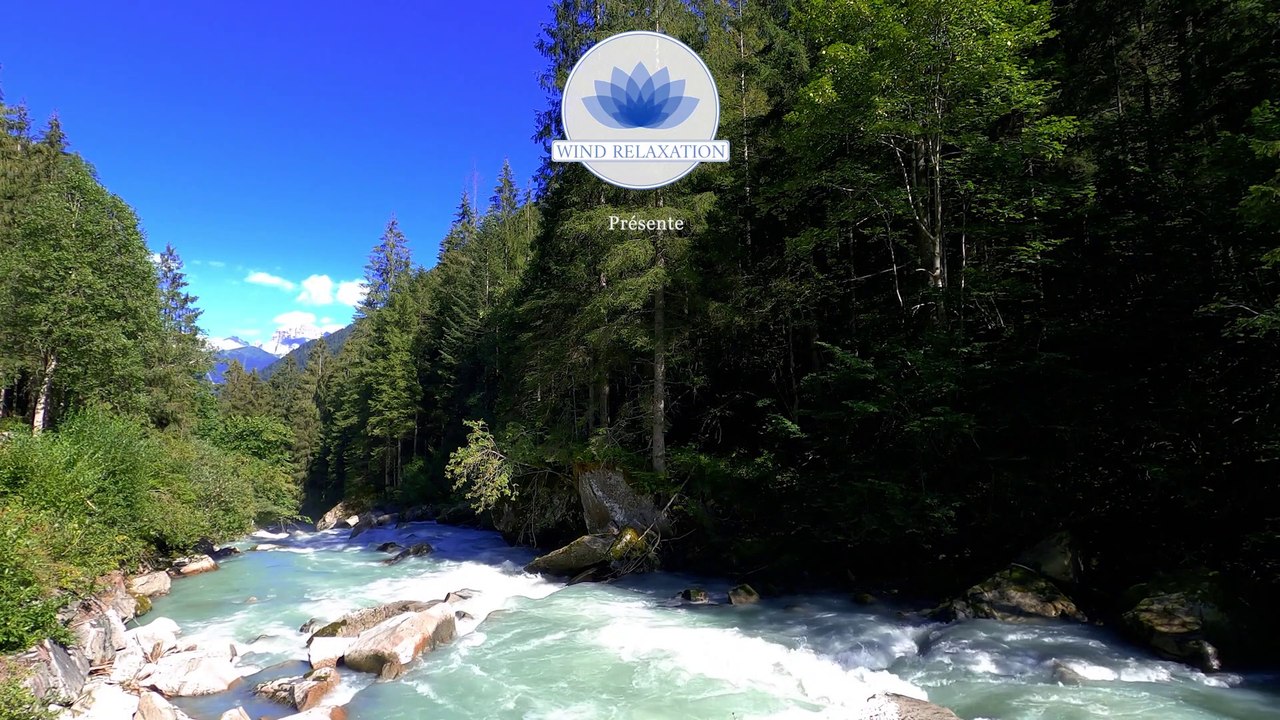 Calmer l'Esprit - Musique Relaxante de Méditation pour Apaiser et Rassurer tout en Douceur.