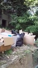 Boğaziçi'nde kayyumun yeni hedefi 'tarih' oldu! Arşiv ve Dokümantasyon Merkezi kapatıldı