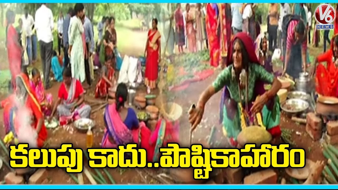 Ground Report Natural Farmer Success Story _ V6 News
