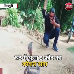 घर में घुसा 5 फीट का कोबरा सांप