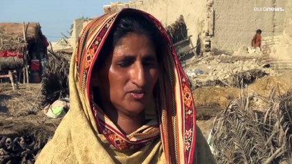 Pakistan appeals for 'immense response' with '33M people' hit by flooding