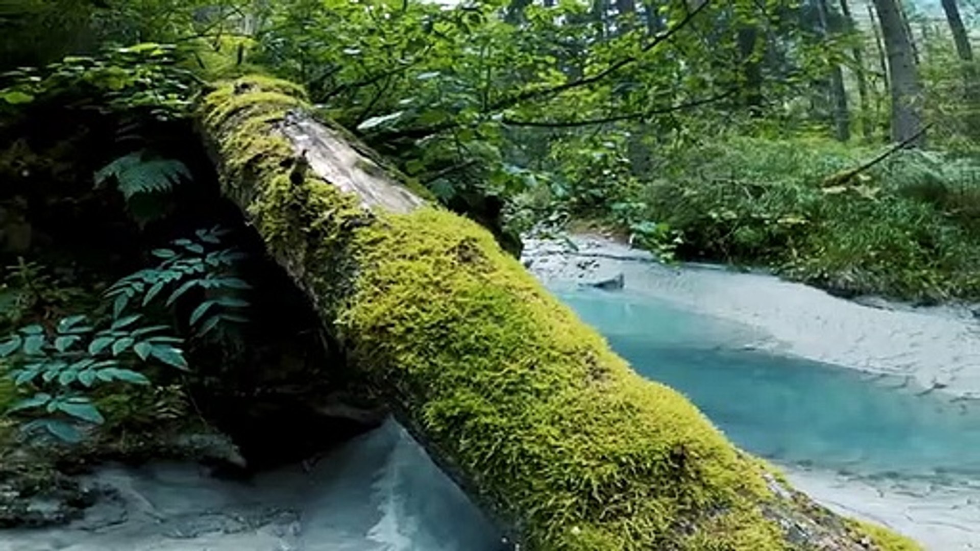 Relaxing Soulful Piano Music | Romantic Music, Beautiful Music, Soothing Sleep Music, Relaxing Music