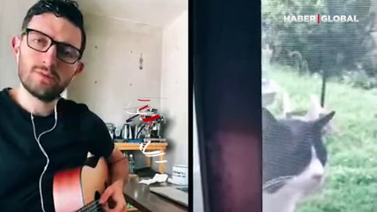 TikTok fenomeninin kedi ile yaptığı düet güldürdü