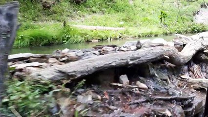 A scenic drive to Tao Butt Bala, The last village of Neelum valley