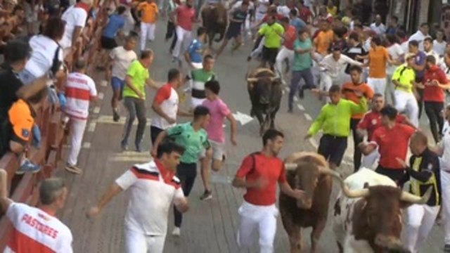 Últimos encierros en San Sebastián de los Reyes