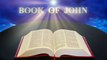 Book of John Chapters 11-20 | English Audio Bible KJV