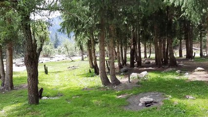 A trip to Kashmir is incomplete without going to Tao Butt  Bala
