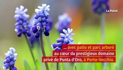 En Corse, le boom discret de l’immobilier de prestige