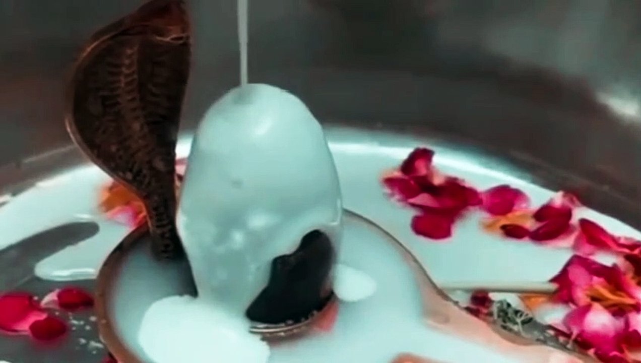सोमवार के दिन ऐसे करें शिव आराधना, पूर्ण होंगी समस्त मनोकामना !