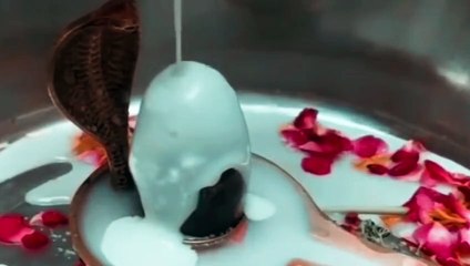 सोमवार के दिन ऐसे करें शिव आराधना, पूर्ण होंगी समस्त मनोकामना !