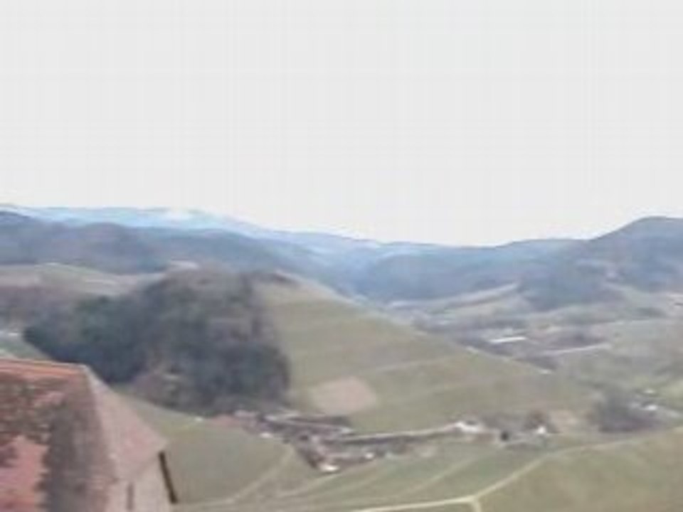 Video_09032008_1