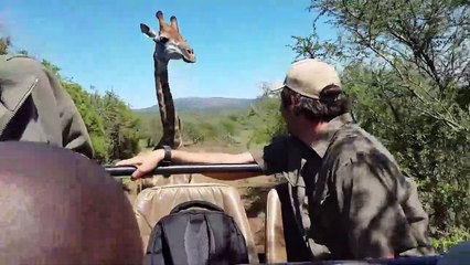 Ozzy Man Reviews When Animals Fight Back #9