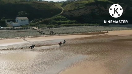 Horse riding and racing animal// 