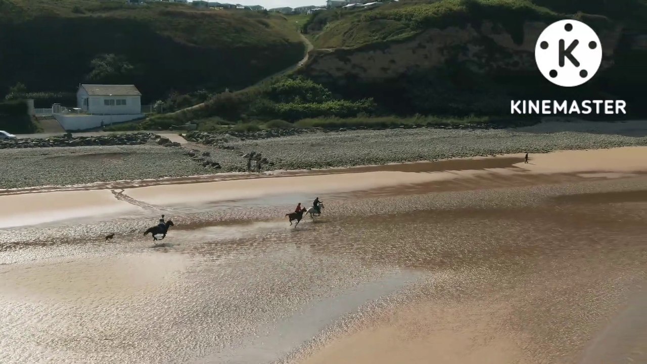 Horse riding and racing animal// 