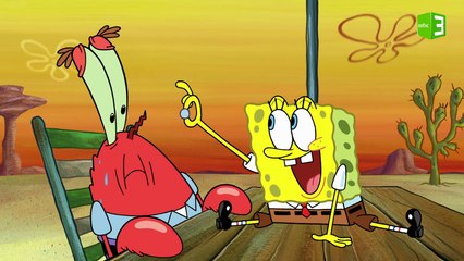 ولاء سبونج بوب البلا حدود