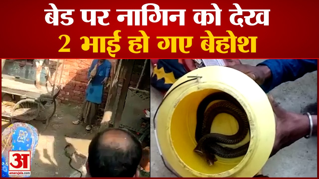 Mainpuri News: बेड पर नागिन को देख 2 भाई हो गए बेहोश | UP News