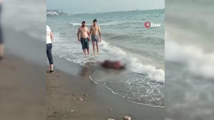 Serinlemek için girdiği denizde kaybolan gencin cesedi 5 kilometre uzakta kıyıda bulundu
