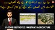 Floods destroyed Pakistan's agriculture, How will Government deal with it?