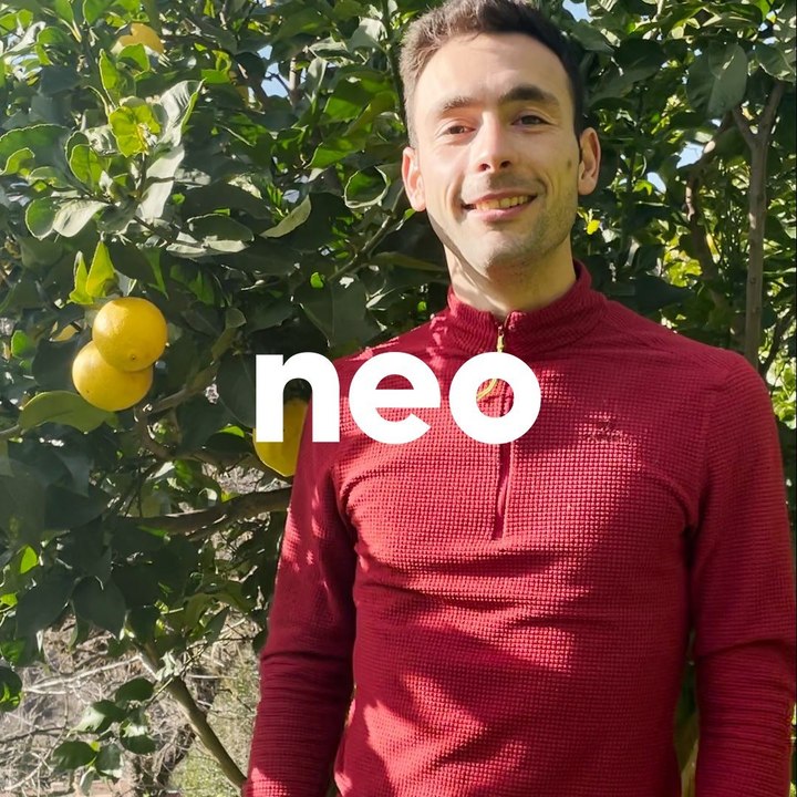 Pourquoi les citrons de Menton sont-ils si réputés ?