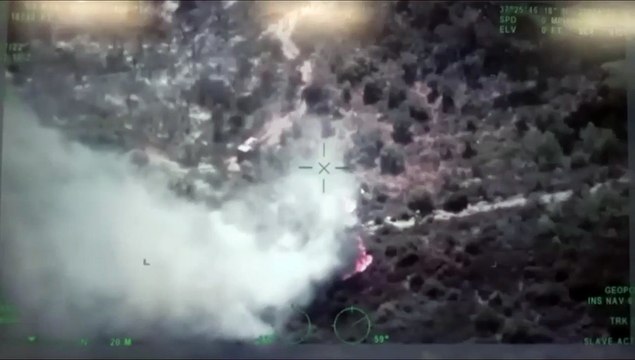 Milas-Söke arasında orman yangını