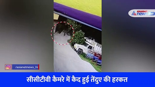 थाने में तेंदुए की दंबगई, आज तक नहीं देखा होगा ऐसा Video 
