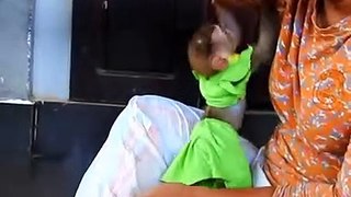 monkey play with lady, monkey baby care video, monkey baby and human,lady taking care of monkey, lady care monkey,how can i make my monkey happy, langoor ki short video, take care monkey,monkey babies playing,  baby monkey funny, puppy playing monkey,