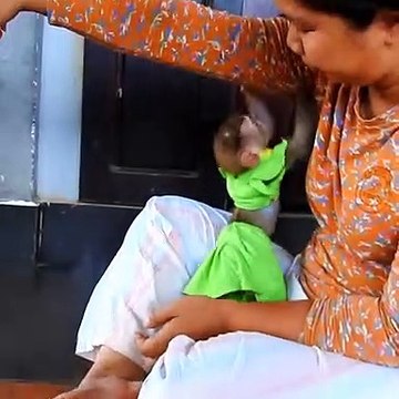 monkey play with lady, monkey baby care video, monkey baby and human,lady taking care of monkey, lady care monkey,how can i make my monkey happy, langoor ki short video, take care monkey,monkey babies playing, baby monkey funny, puppy playing monkey,