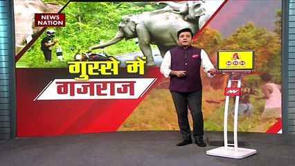 Jalpaiguri News: जंगल से निकलकर इंसानी बस्ती में हाथी | West Bengal
