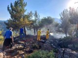 Son dakika haber: Kahramanmaraş'ta 6 noktada çıkan yangın söndürüldü, ormanları yakan şüpheli yakalandı
