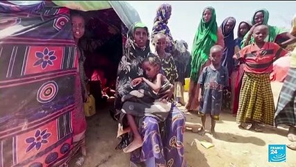 More than 700 children have died in Somalia nutrition centres, UN says