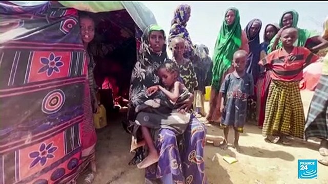 More than 700 children have died in Somalia nutrition centres, UN says