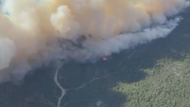 Manisa'da orman yangını