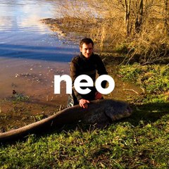 Ce pêcheur amateur a pêché un silure de 2,55 m dans la Loire