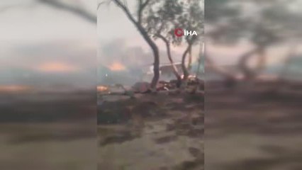 Son Dakika | Kazakistan'da devam eden orman yangını nedeniyle acil durum ilan edildi