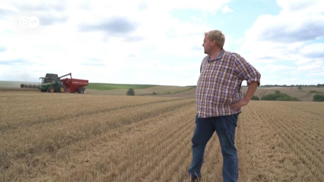 Почему немцы остаются в Украине, несмотря на войну (04.09.2022)