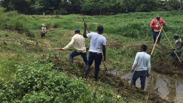 ¿Cuál es la historia detrás del desmembramiento de personas en el Bagre, Antioquia?
