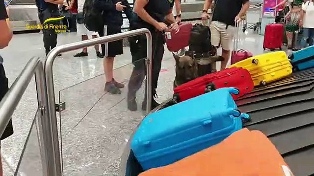 13 kg of drugs hidden in a wheelchair, fake disabled arrested in Italy - 13 kg di droga nascosti in una sedia a rotelle, finto disabile arrestato a Varese