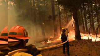 California wildfire sets injured several people