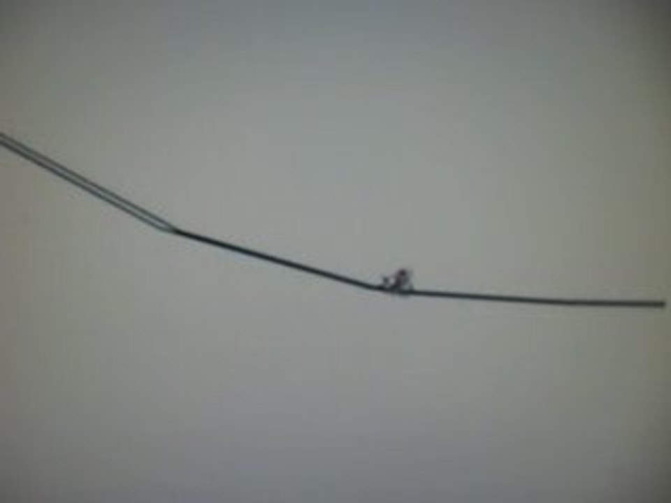 Line rider debutant