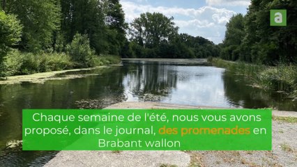 Découvrez les promenades de Nathalie Demain