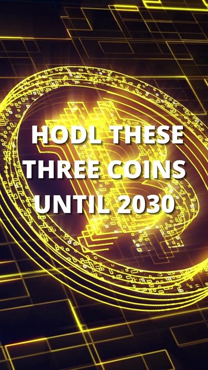HODL These three Coins until 2030